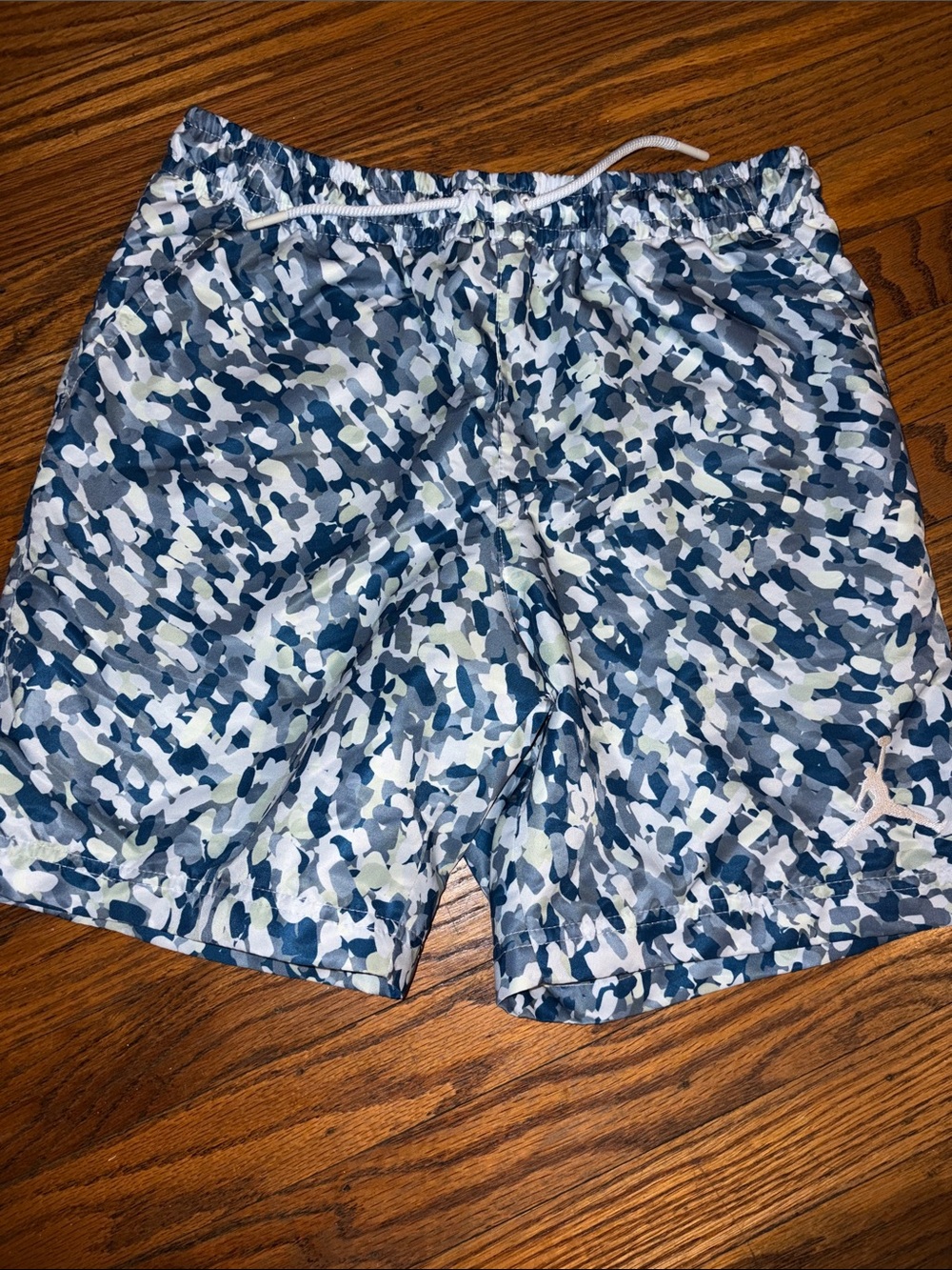 Jordan Men's Blue & White Swim Trunks